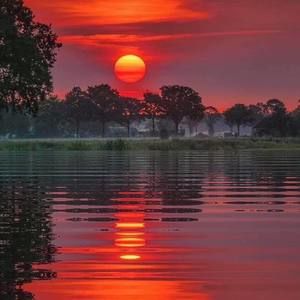 Meet your Posher, Miguel